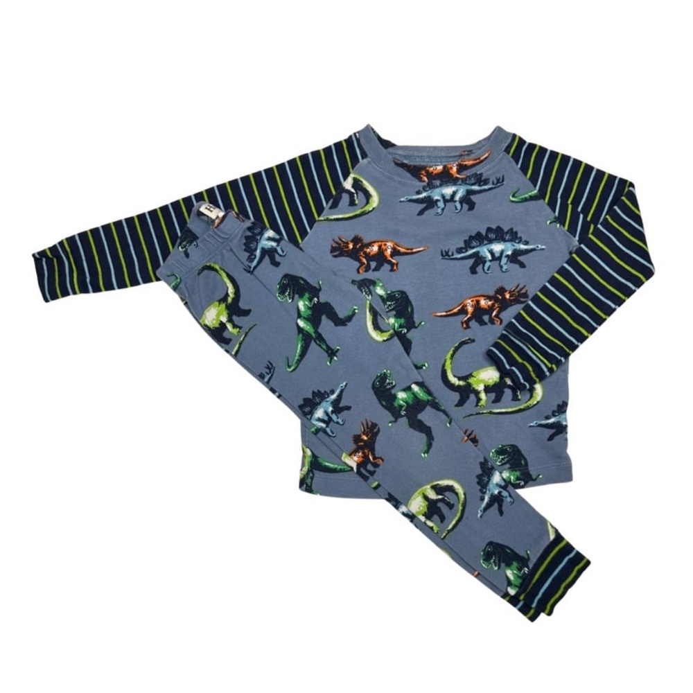 Hatley Painted Dinos Organic Cotton Raglan Pajama Set